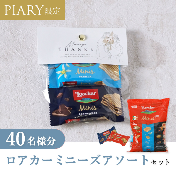 プチギフト ラッピングキット ロアカー ミニーズセット ニュアンセス