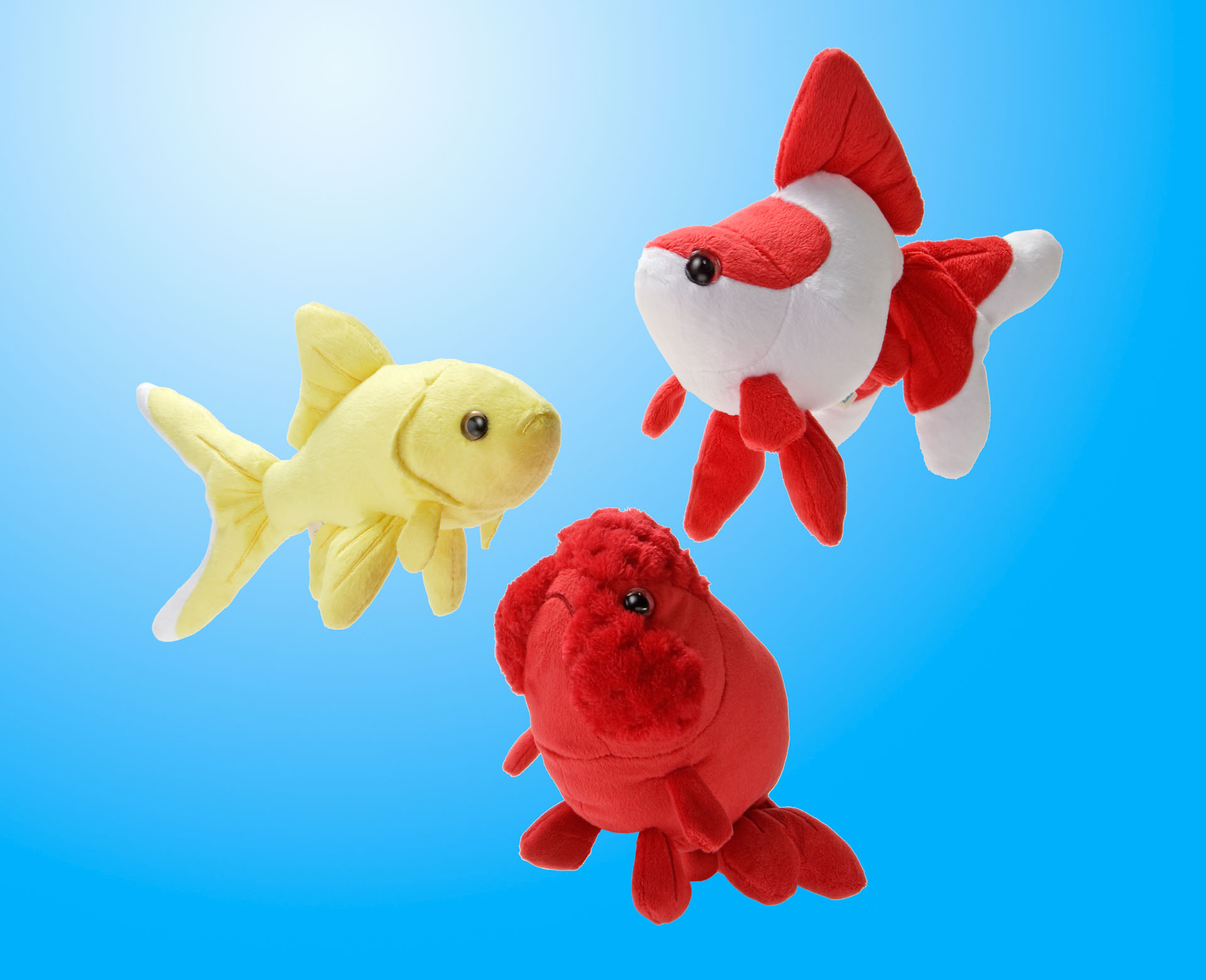 リアルな金魚のぬいぐるみ | 生物園オンラインショップ