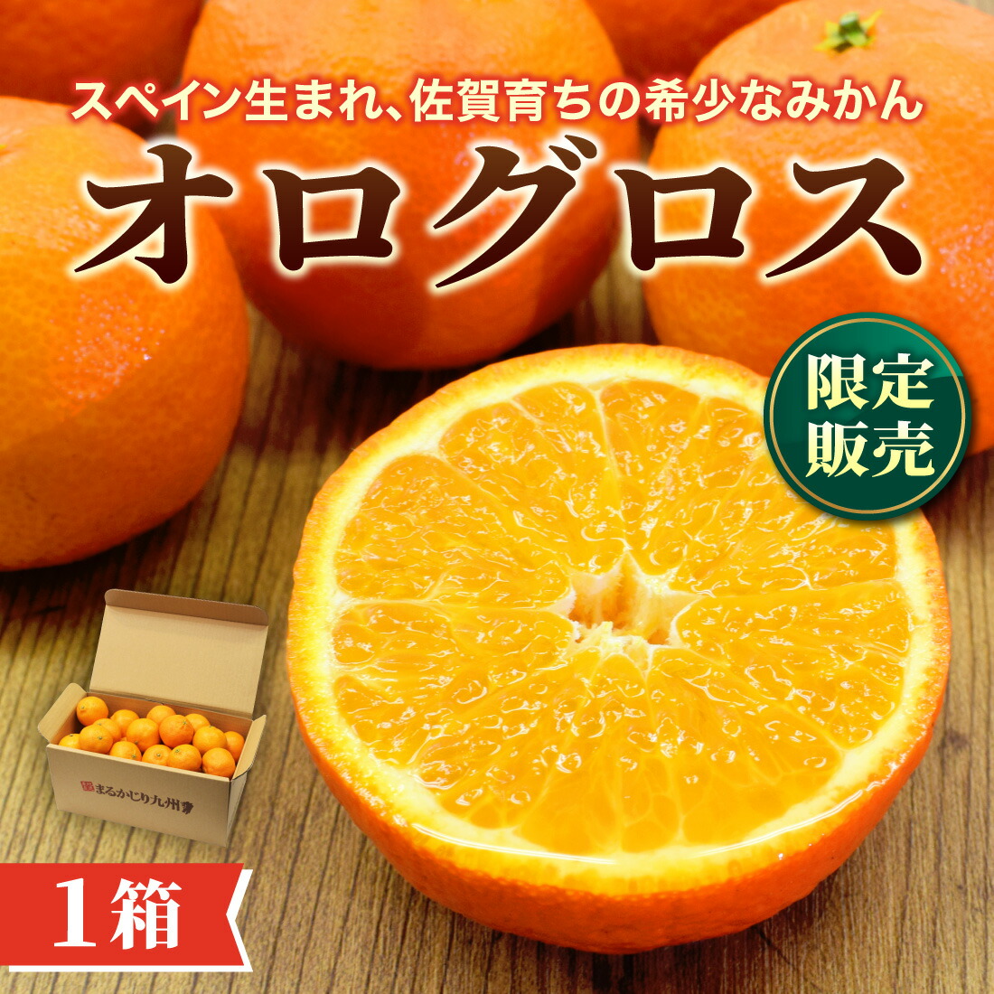 楽天市場】【 送料無料 】 オログロス （ クレメンティン 早生 ）佐賀