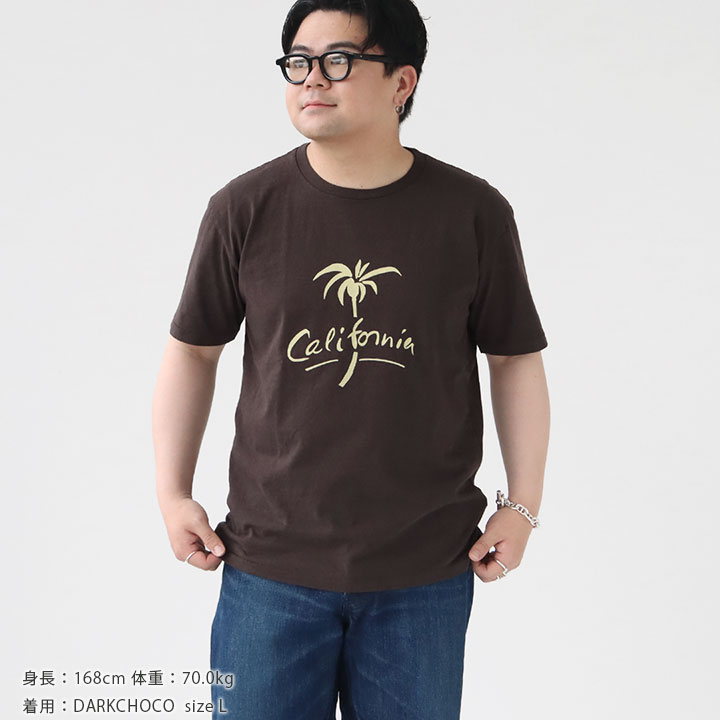 楽天市場】【20％OFF！FINALセール対象商品】Mixta(ミクスタ) PALM