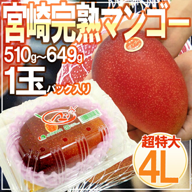 宮崎完熟マンゴー” 秀品 4Lサイズ 510g以上 パック入り 宮崎マンゴー