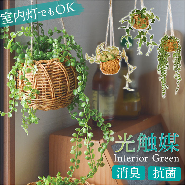 光触媒 フェイクグリーン 通販 観葉植物 人工観葉植物 ハンギング 吊り