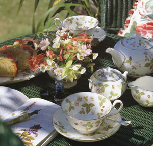  WILD STRAWBERRY 皿 3色セット ワイルド ストロベリー プレート 20cm|WEDGWOOD公式オンラインストア