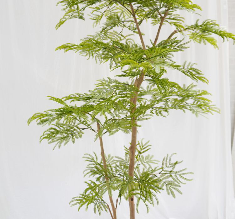楽天市場】エバーフレッシュ 180cm (ネムノキ 造花 樹木 人工観葉植物