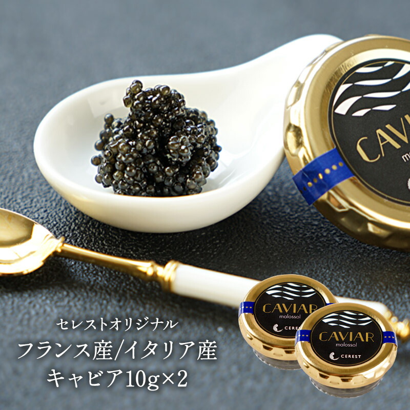 41551-2b.jpg