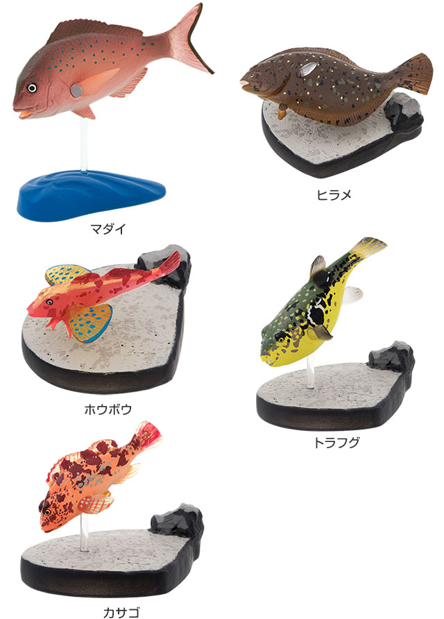 楽天市場】サカナ 海水魚 リアル フィギュア 立体図鑑 ソルト
