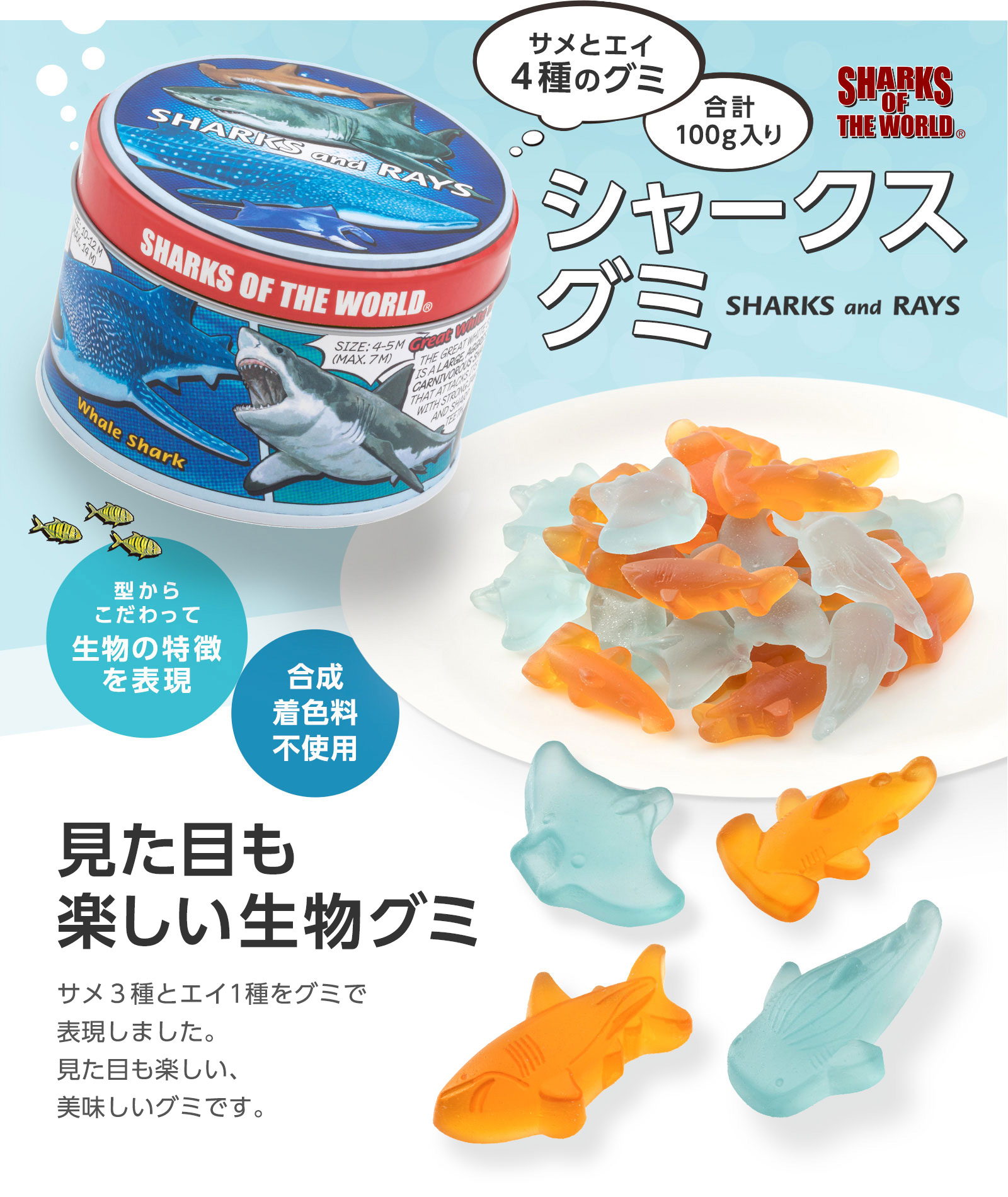 楽天市場】シャークスグミ | グミ グミキャンディ ギフト お返し 菓子