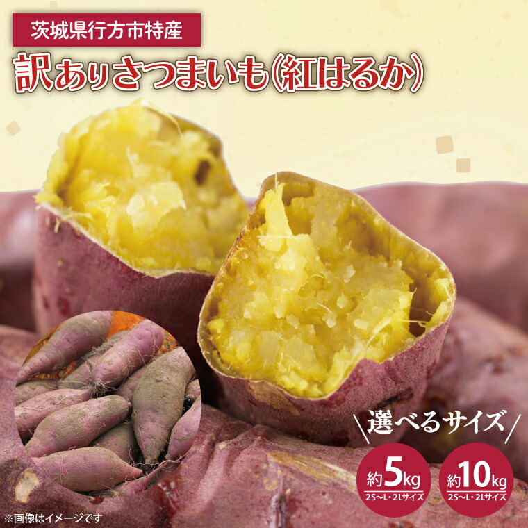 楽天市場】【ふるさと納税】【選べる】茨城県産 紅はるか 訳あり