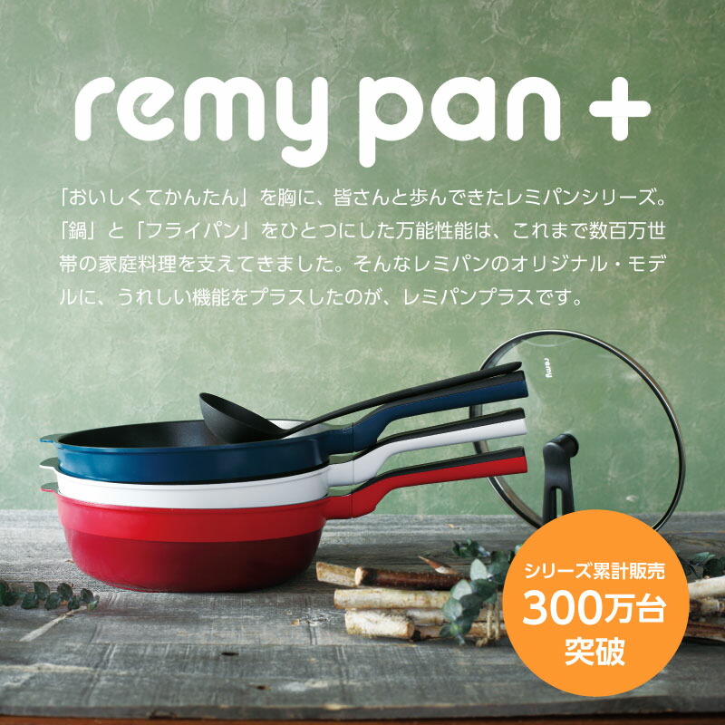 tb258-remyplus-01.jpg