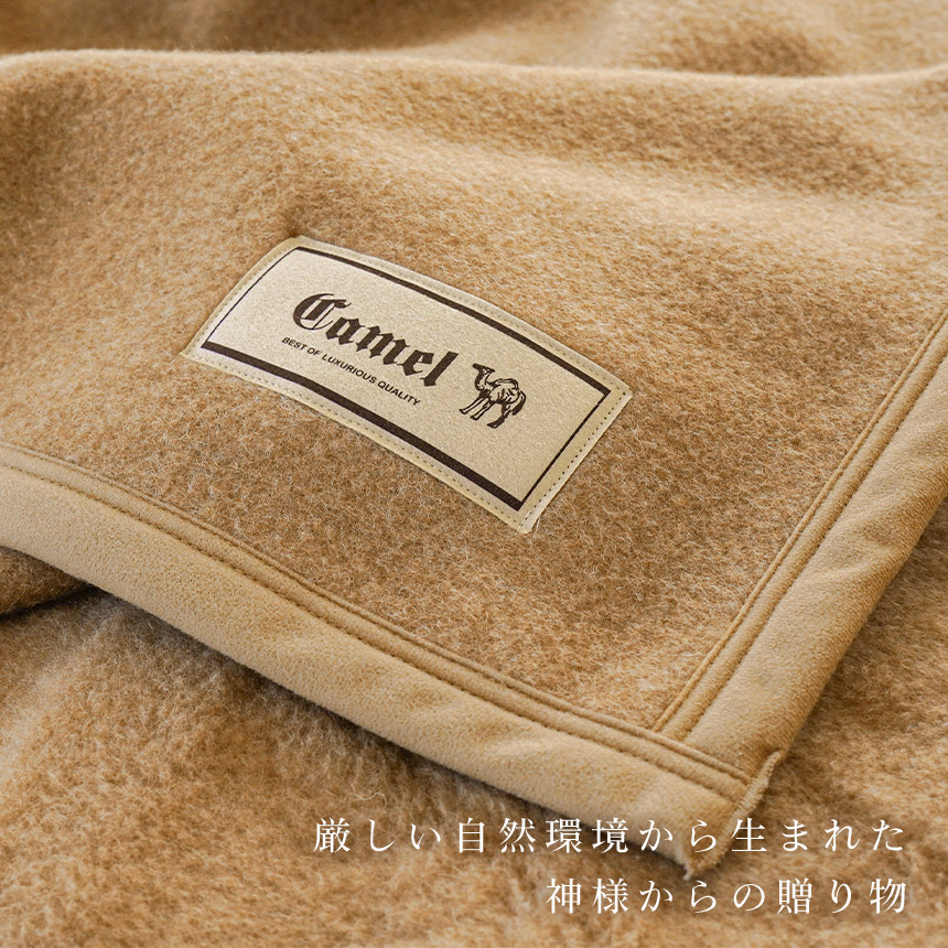 楽天市場】【25日20時〜2H限定10％OFFクーポン】☆西川の今治タオル