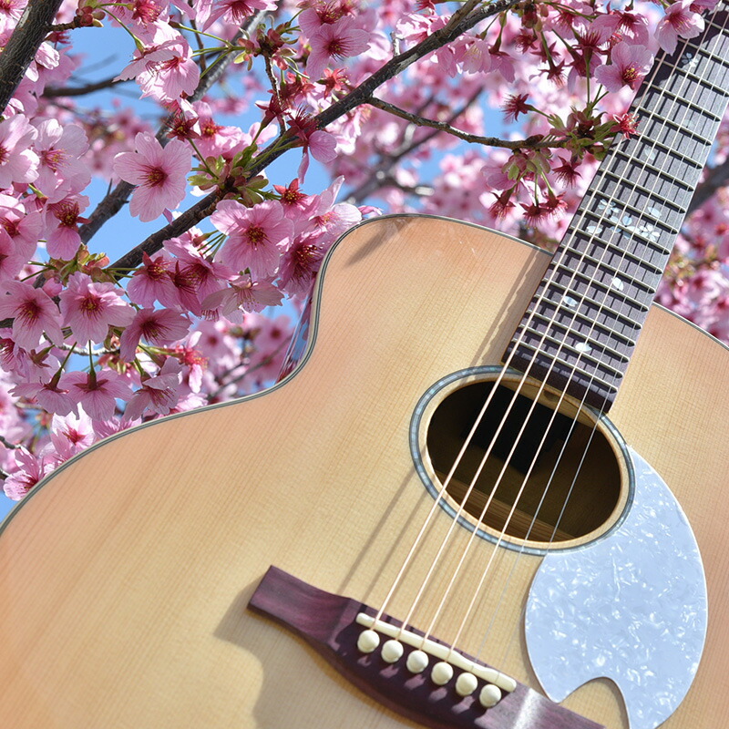 htj-sakura-9.jpg
