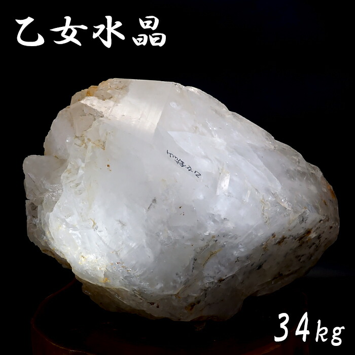 341otome202412.jpg