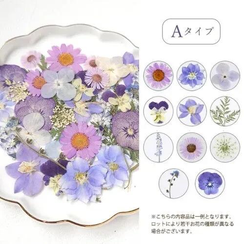 押し花MIX アソートセットｰ* オマケがたくさんついてくるパーツ屋さん