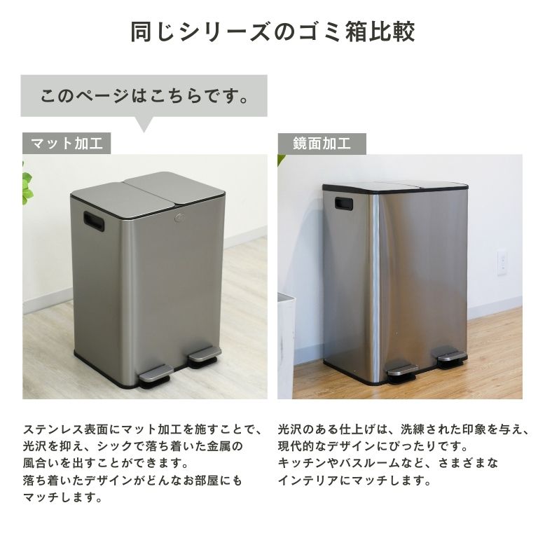 ペダル式 ステンレス ダストボックス 分別 20L×2