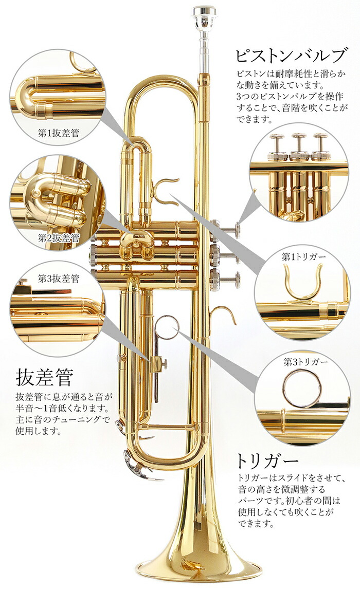 楽天市場】トランペットセット（ゴールド）初心者入門 Bb B フラット