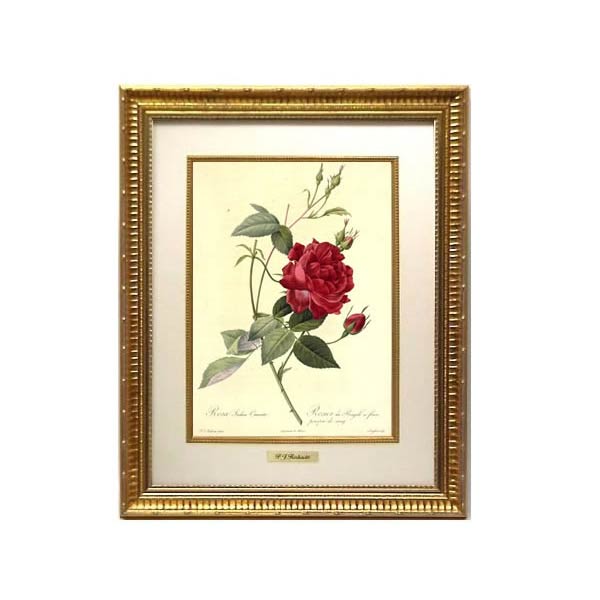 楽天市場】絵画 インテリア ルドゥーテ 絵額 複製画 受注生産 『 レ