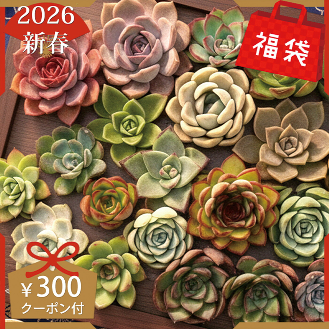 26huku_tag1_2x.jpg