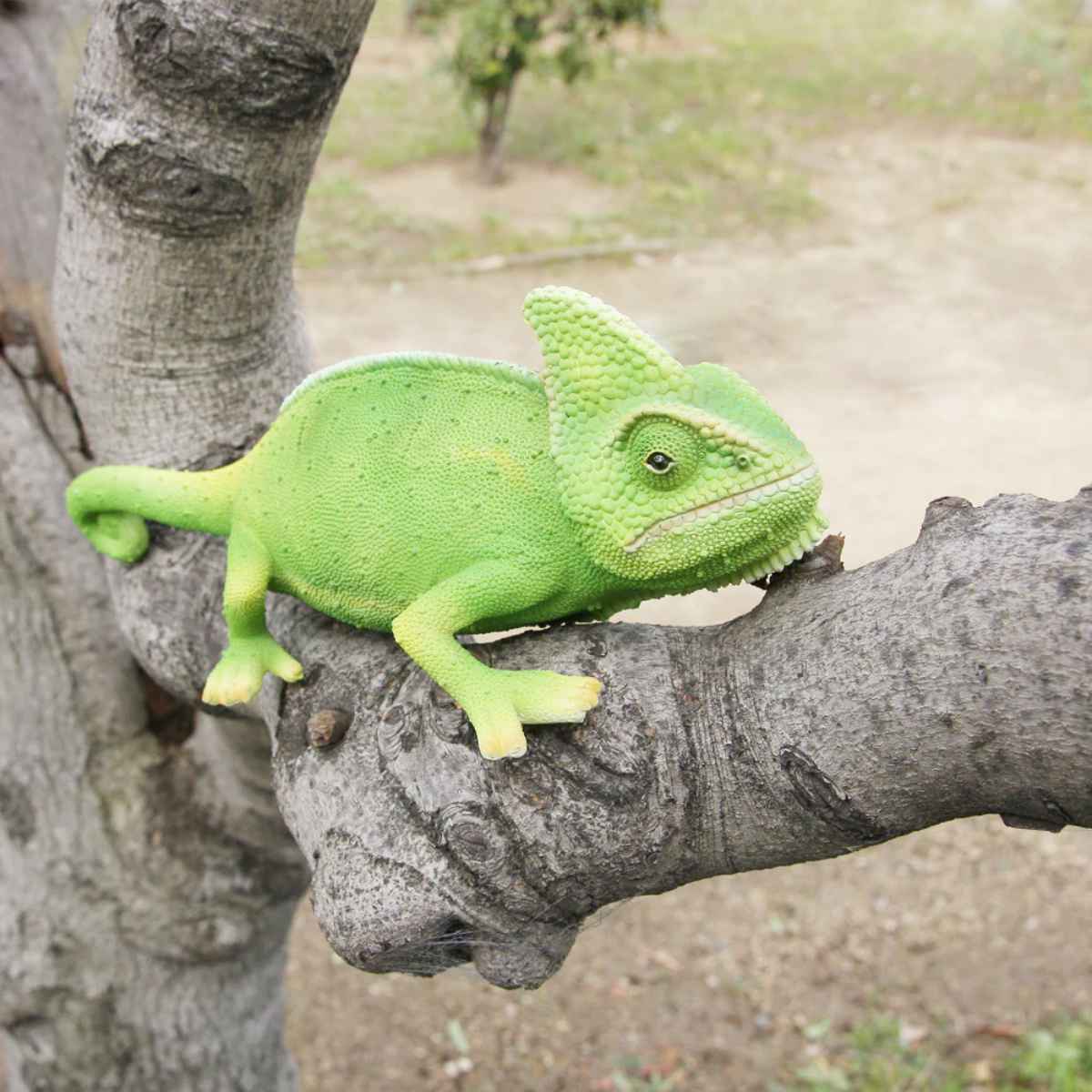 楽天市場】オブジェ カメレオン ペットバンク 貯金箱 （ トカゲ 置物