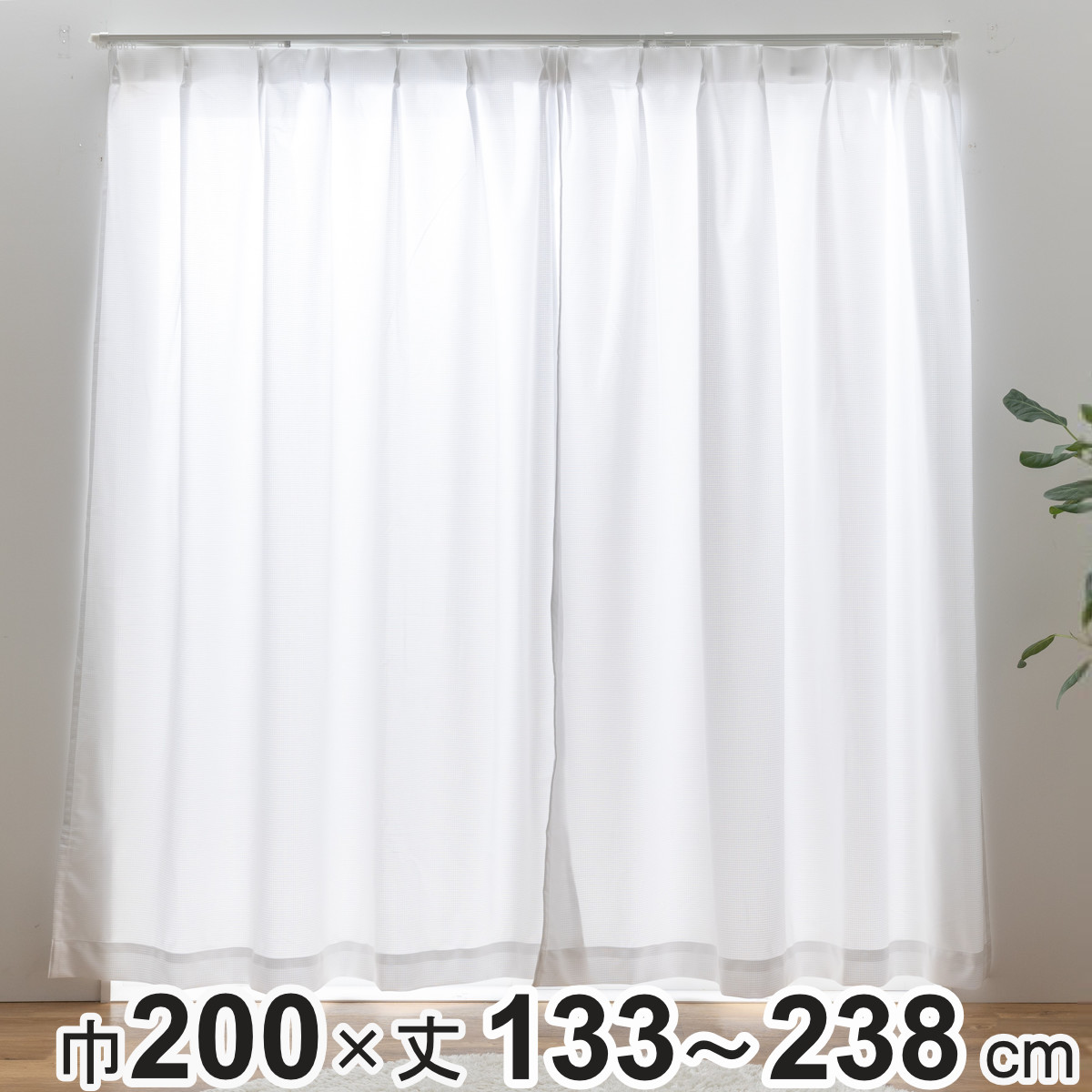 429020.jpg