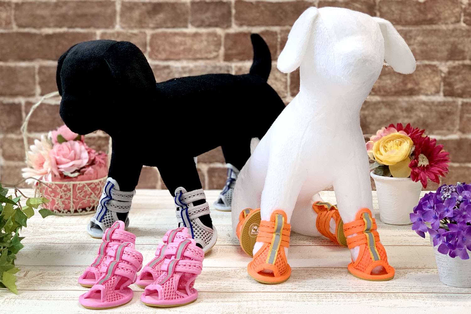 楽天市場】Dogサンダル メッシュタイプ「4足セット」ペットとの絆を
