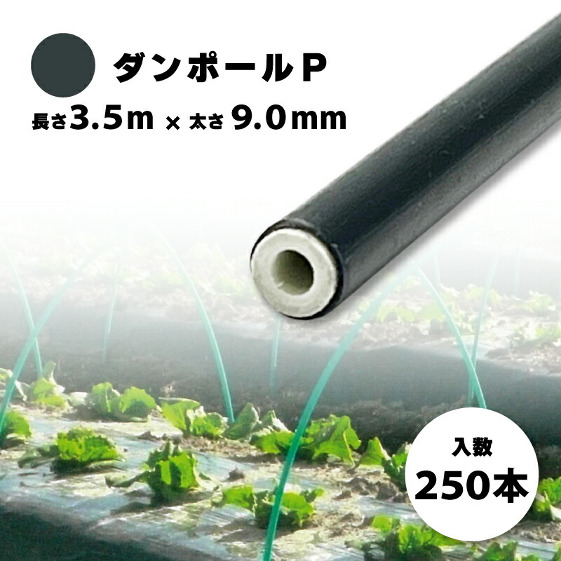 楽天市場】250本 ダンポールP マル90 黒 長さ 2.1m × 太さ 9mm 農業