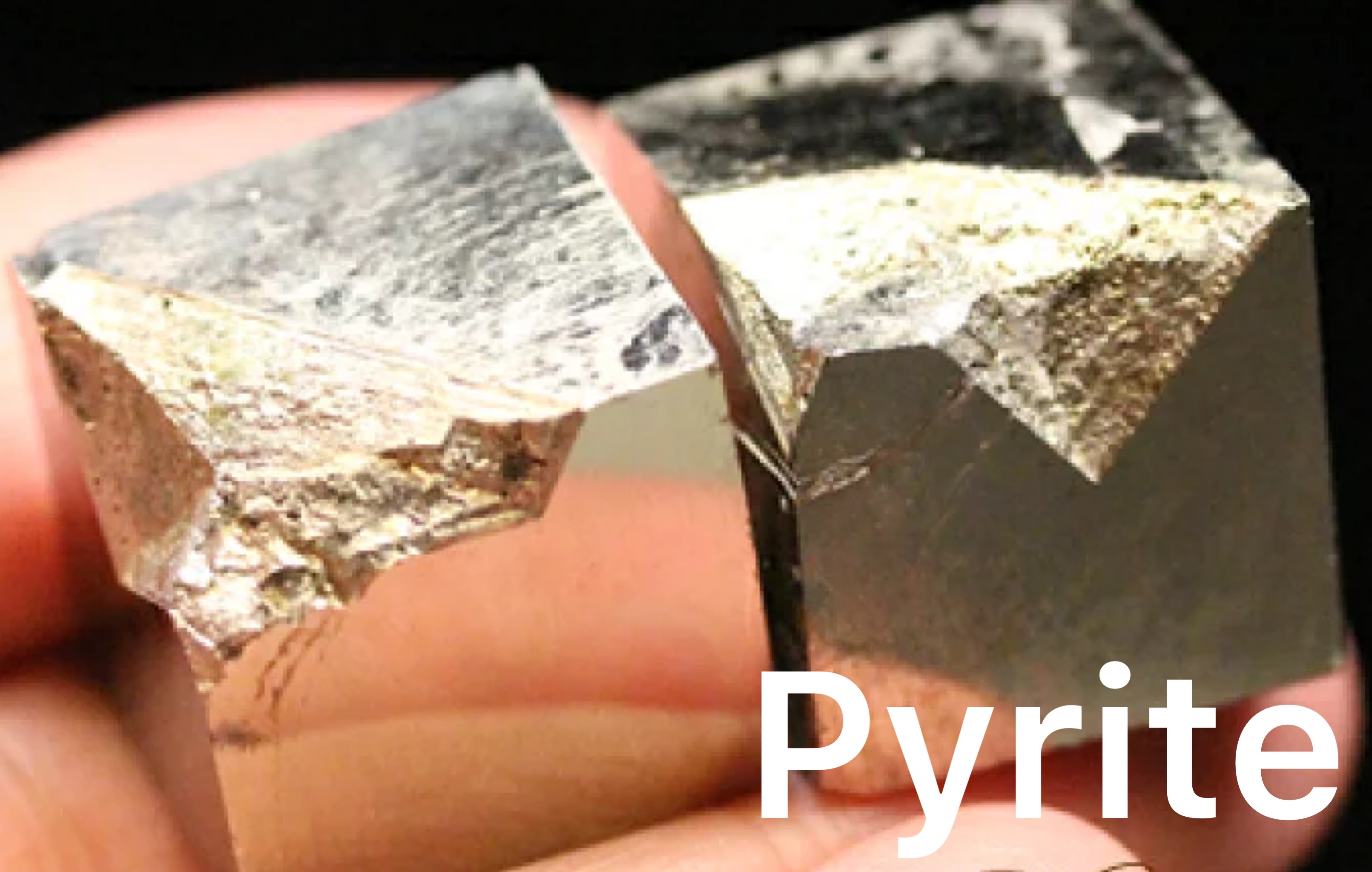 banner_19.jpg