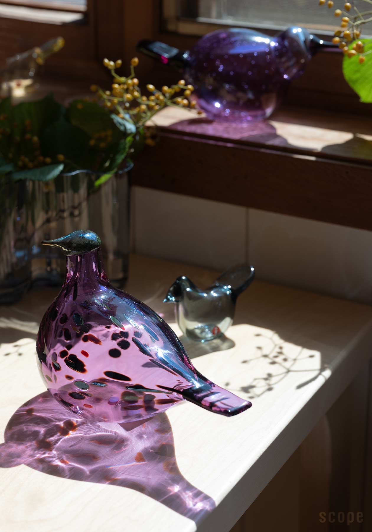  イッタラ バード エッグ viola ヴィオラ scope iittala イッタラ バード エッグ viola ヴィオラ scope - メルカリ