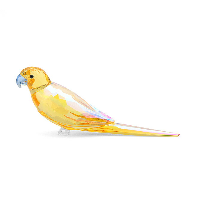 楽天市場】スワロフスキー SWAROVSKI ジャングルビーツ キイロインコ