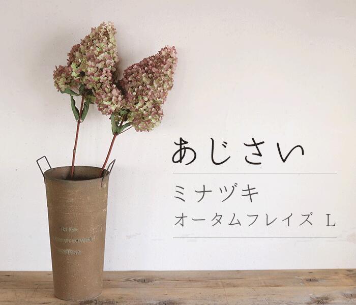 楽天市場】【Lサイズ】 アジサイ ミナヅキ枝付き オータムフレイズ