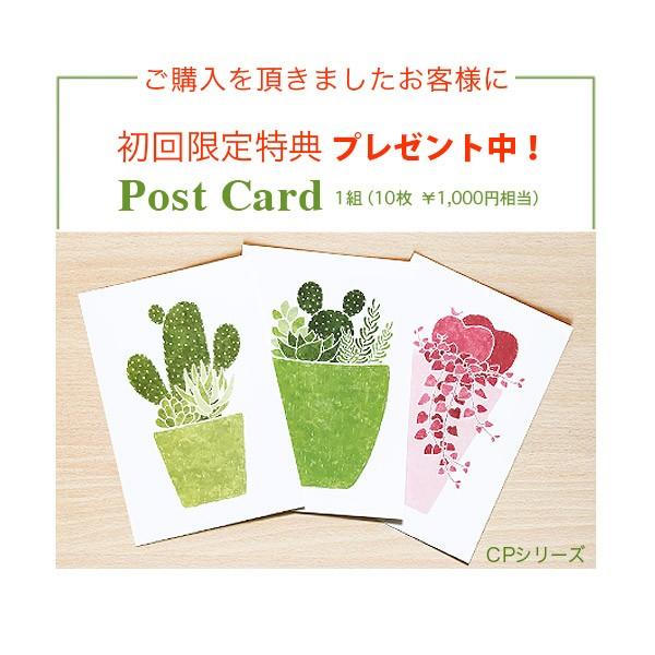 楽天市場】【楽天ランキング1位獲得】絵画 モノクロ 植物画 ザミアと