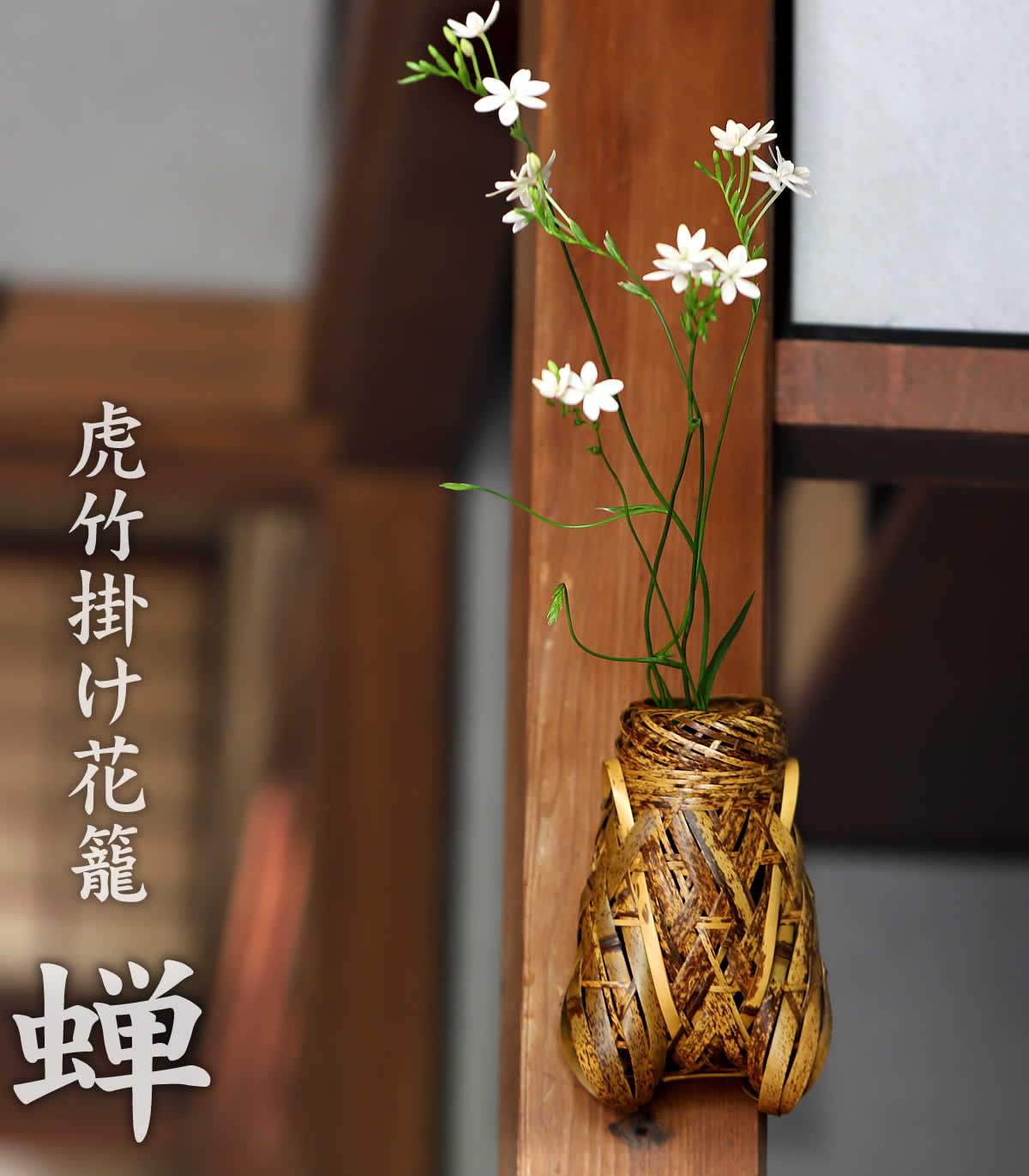 楽天市場】虎竹掛け花籠 蝉 : 虎斑竹専門店 竹虎