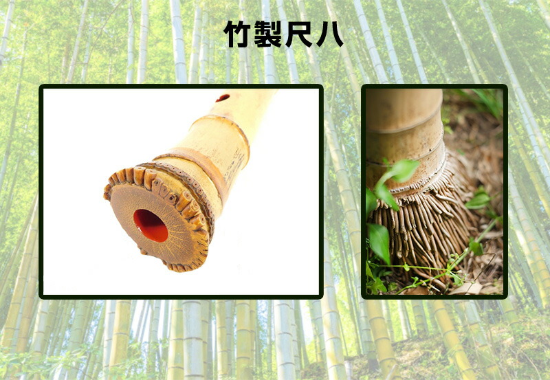 尺八-和楽器/和楽器 精華銘 2本継尺八/竹製 54.5センチ 尺八 蝴蝶宝尺八 （楓） : 和楽器市場 Yahoo!店 - 通販 - Yahoo!ショッピング