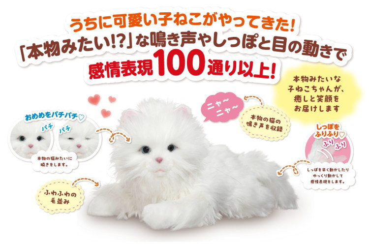 楽天市場】デジレクト あまえんぼう子ねこちゃん オリジナルお世話