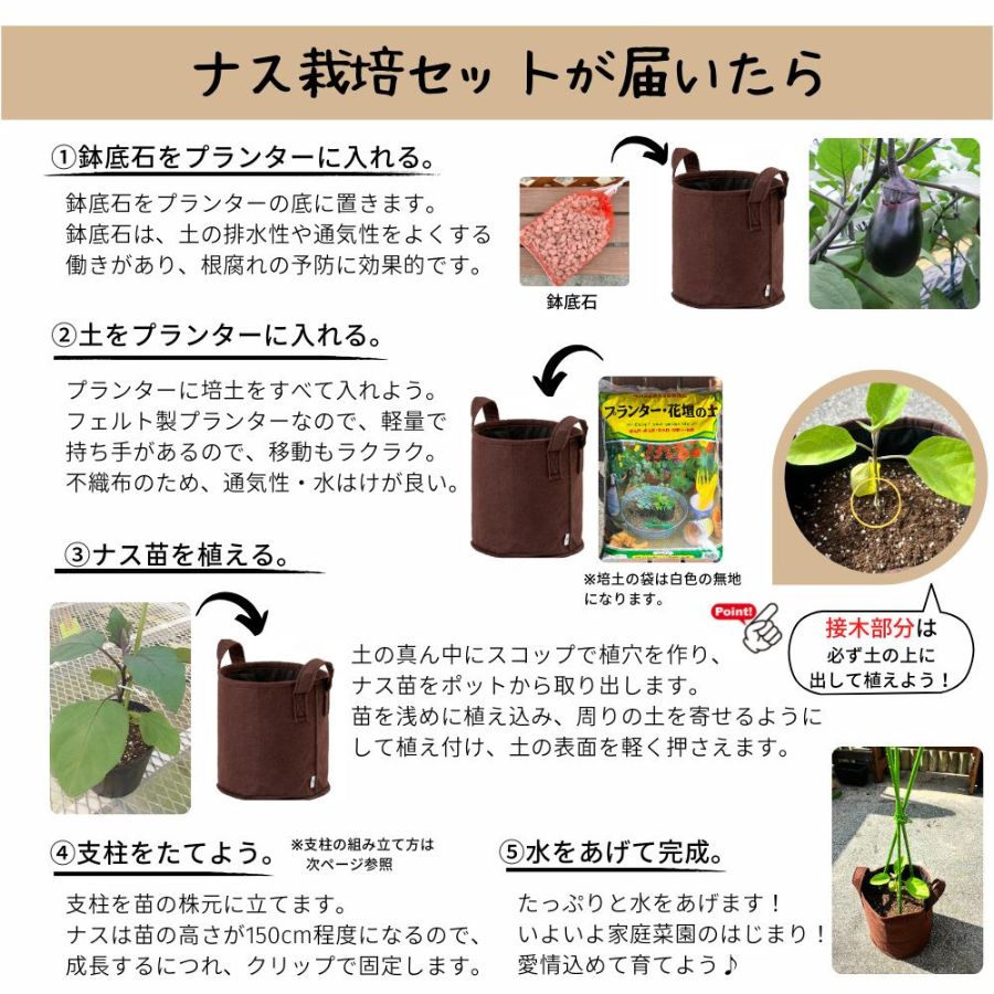 てしまの苗】ナス栽培セット ※送料無料（北海道・沖縄は送料900円加算