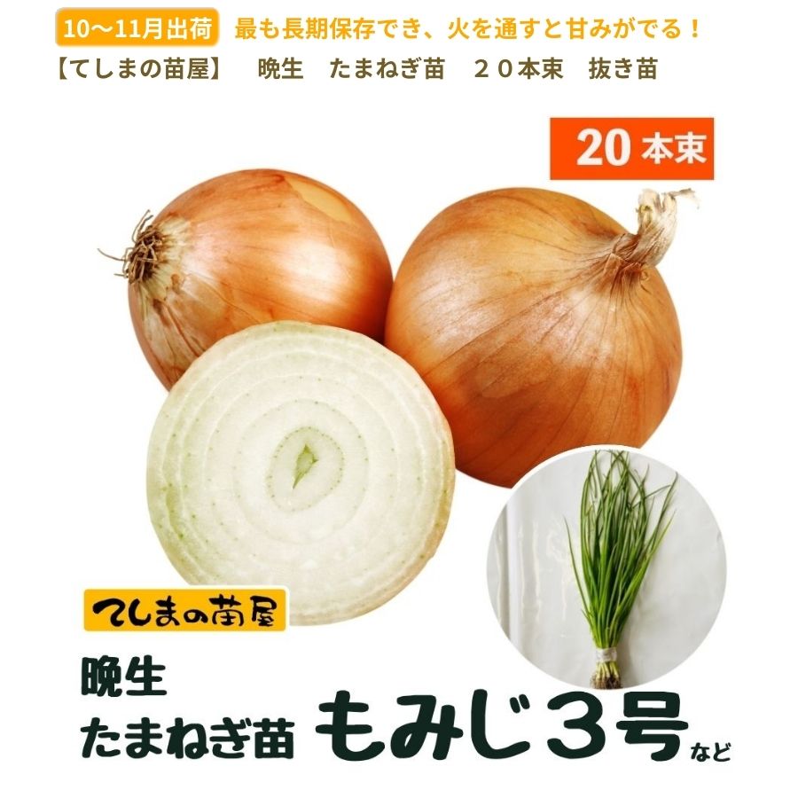 nms2310262401.jpg