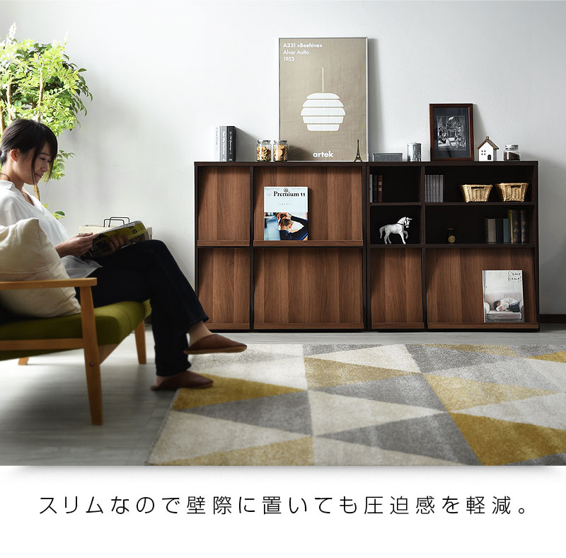 2種類セット セット ディスプレイラック 本棚 扉付 キッズ｜激安
