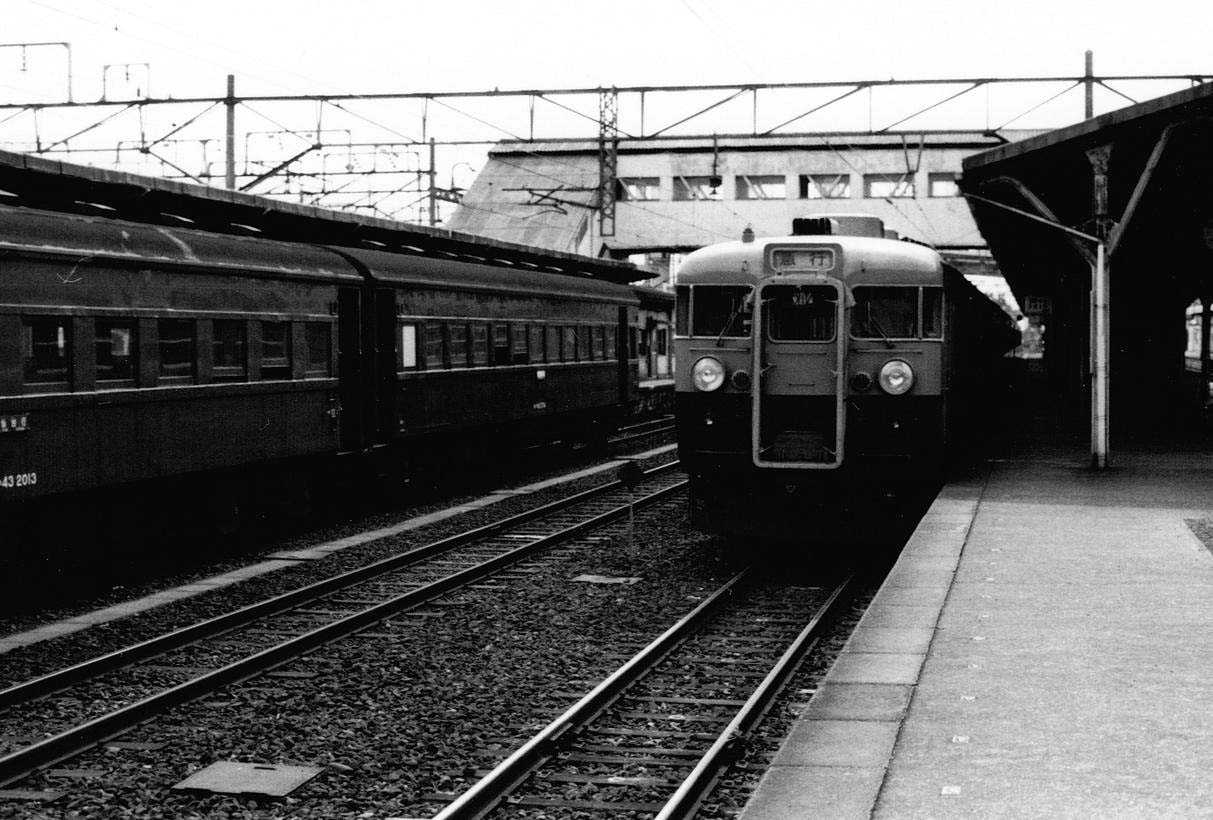 165系：急行「なすの」 | マル鉄鉄道写真館2 - 楽天ブログ