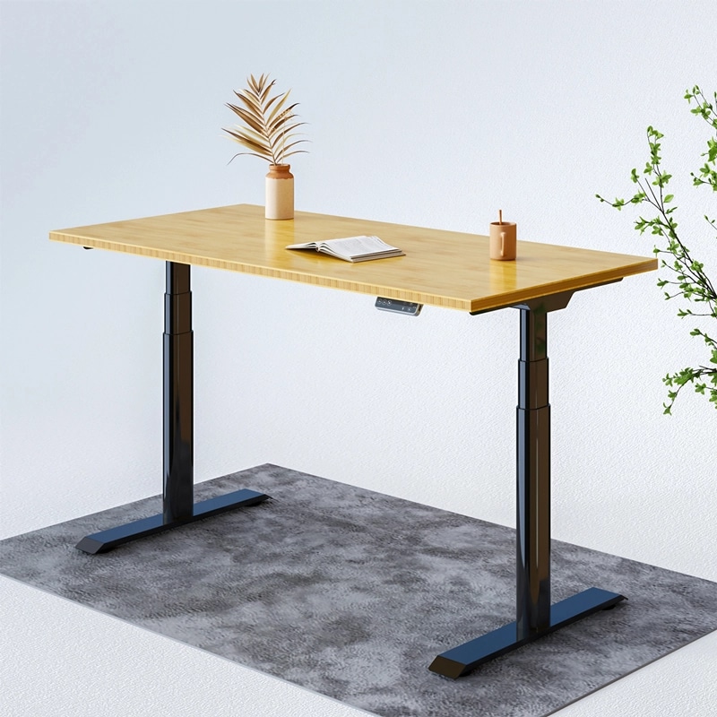 Electric Height Adjustable Standing Desk: Dual Motor Economical