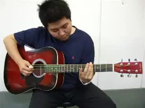 楽天市場】アコースティックギター 左利き用 HONEY BEE W-17LH / F