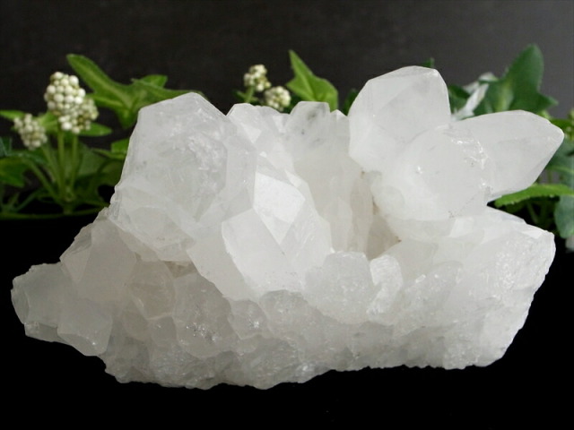 キラキラ乳白色 3A 四川 水晶 クラスター 幅約112mm 重さ342g 超人