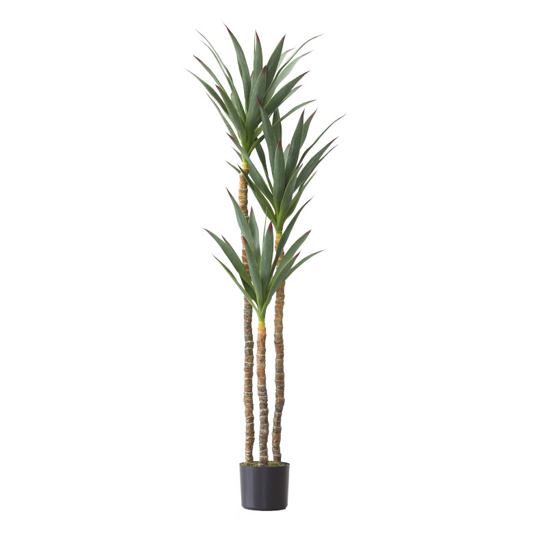 フェイクグリーン ユッカ 170cm （Yucca elephantipes）