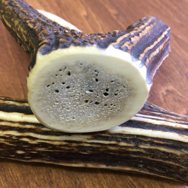 天然鹿の角 噛むおもちゃ 【高知産】