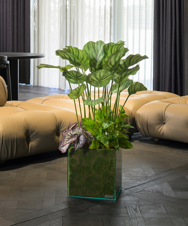 観葉植物 アーティフィシャルグリーン ギャザリング カラテア ギフト