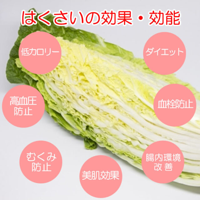 はくさい Lサイズ 4玉 1.8kg以上／玉×4 箱売り【送料別 常温発送