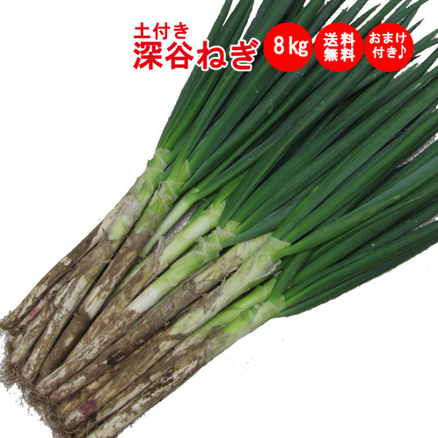 土付き深谷ねぎ8Kgセット 無選別 【購入特典：新鮮野菜8品、送料無料