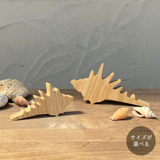 貝殻 オブジェ