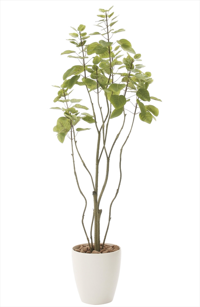 光触媒　人工観葉植物　フェイクグリーン　フィカスブランチツリー1.7 光触媒 光の楽園 フィカスツリー1.8m【インテリア フェイクグリーン