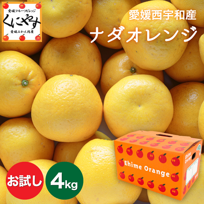 爽やかな味わいの愛媛西宇和産のナダオレンジを少量から楽しめるお試し用