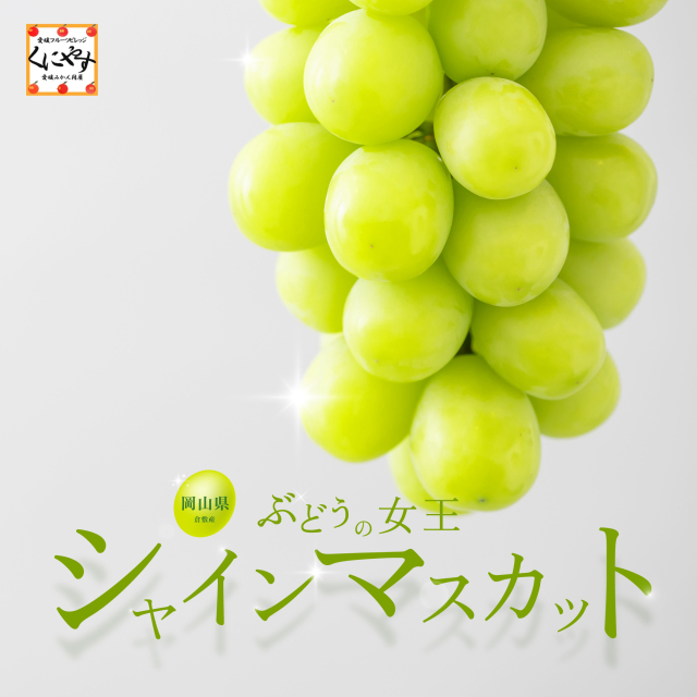 夏の新定番フルーツ・シャインマスカットのご予約受付開始！