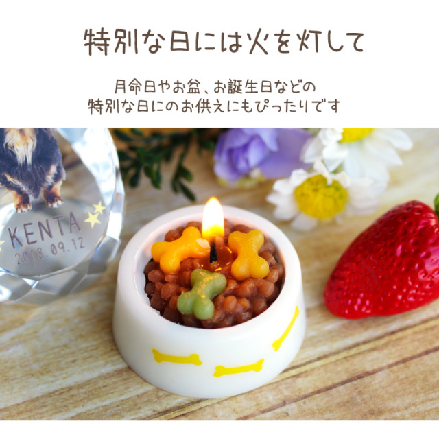 ペット ごはんキャンドル わんちゃん ねこちゃん 本物そっくり カメヤマ